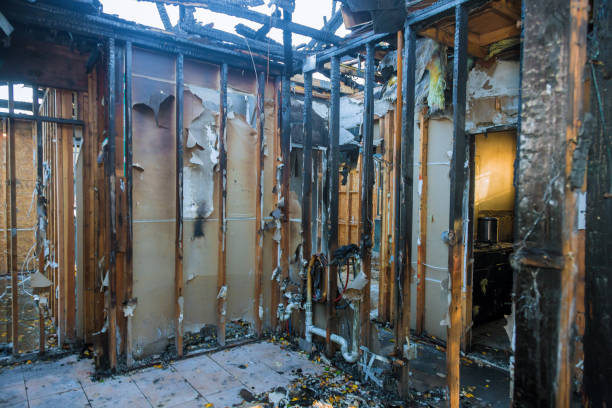 Professional Fire Damage Removal technician working in Naples Manor, FL